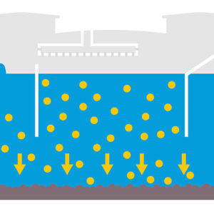 Nişasta Katmanı Oluşumu